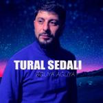 album image Tural Sedali - Gel Yanima 2021 Ağlıya Ağlıya