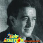 album image İnce İnce Bir Kar Yağar Unutamadıklarım