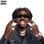 album image Shibebe Unruly