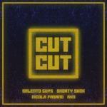 album image CUT CUT (RKN Edit) CUT CUT (RKN Edit)