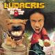 Ludacris f. Nate Dogg - Area Codes(Got Hoes)