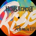 album image Rise (Late Nite Tuff Guy Mix) Rise Remix EP