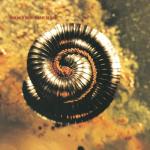 album image Closer (Precursor) The Downward Spiral (Deluxe Edition)