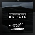 album image Ishani Intercultural Nodes