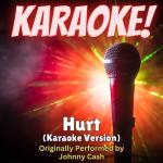 album image Hurt (cover) Country Hits, Vol. 14