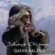 Jahongir Otajonov - Sog'indim