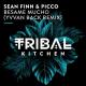 Sean Finn, Picco - Besame Mucho (Yvvan Back Extended Remix)