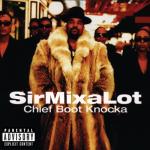 album image Don't Call Me Da Da Chief Boot Knocka