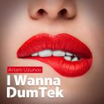 album image Rock It I Wanna DumTek