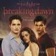 Carter Burwell - A Nova Vida (Twilight Soundtrack)