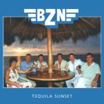 album image Dance In The Moonlight Tequila Sunset