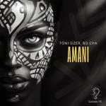 album image Amani (Extended Mix) Amani