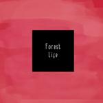 album image Trees Forest Life