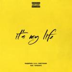 album image it's my love It's My Life