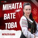 album image Mihaita Bate Toba Mihaita Bate Toba