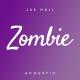 Jae Hall - Zombie (Acoustic)
