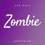 album image Zombie (Acoustic) Zombie (Acoustic)
