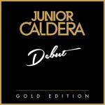 album image Can't Fight This Feeling Debut (Gold Edition)