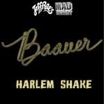 album image Colo Terorita Harlem Shake
