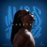 album image TERRE DE CHAMPIONS MAESTRO