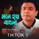 Billu Ashik - Mone Hoy Bangla 1 (Tiktok)