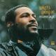 Marvin Gaye - What's Happening Brother (1971)