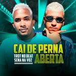 poster Cai De Perna Aberta Cai De Perna Aberta