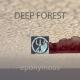 Deep Forest - Sweet Lullaby (Version 2021)