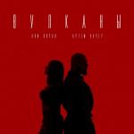 poster Вулканы Вулканы