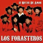 poster Si Una Vez 12 Notas de Amor