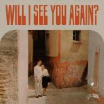 poster Will I See You Again? Will I See You Again?