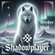 ShadowPlayer - Schatten Im Blick