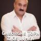 Gheorghe Țopa - Ce-I Mai Frumos Ca Dragostea?