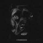 poster ОСЕНЬ UNDERDOGS