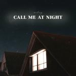 poster Call Me at Night Call Me at Night