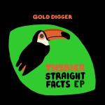 poster BACK (ORIGINAL MIX) [GOLD DIGGER RECORDS] !!! GIGABEATS.PROMO !!! Straight Facts EP
