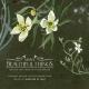 Sleeping At Last - I'll Keep You Safe (Instrumental)