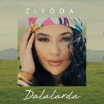 poster Dalalarda Dalalarda
