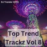 poster Vulgar (Tribute Version Originally Performed By Sam Smith and Madonna) Top Trend Trackz Vol 8