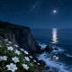 River Ashwood - Starlight Code