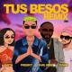 Karl Wine, Freebot feat. Cuvan, Aneth - Tus Besos - Remix