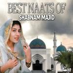 poster Tumhare Siwa Koi Hamara Best Naats of Shabnam Majid