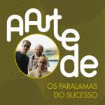 poster Ela disse adeus A Arte De Os Paralamas Do Sucesso