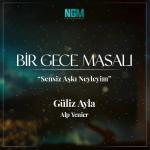 poster Sensiz Aşkı Neyleyim (Bir Gece Masalı Dizi Müziği) Sensiz Aşkı Neyleyim (Bir Gece Masalı)
