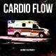 ШУММ, ALPHAVITE - CARDIO FLOW