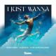 Marco Nobel, Glass Keys, Tyler James Bellinger - I Just Wanna