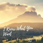 poster I Know What You Want I Know What You Want