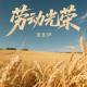 张佳伊 - 劳动光荣