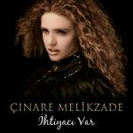 poster İhtiyacı Var (Akustik Versiyon) İhtiyacı Var
