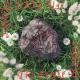 Bladee - egobaby